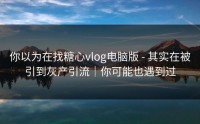 你以为在找糖心vlog电脑版 - 其实在被引到灰产引流｜你可能也遇到过
