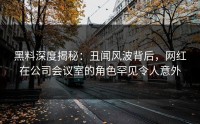 黑料深度揭秘：丑闻风波背后，网红在公司会议室的角色罕见令人意外