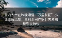 业内人士在昨晚遭遇“万里长征”小说造假风暴，黑料全网炸锅！内幕揭秘引发热议