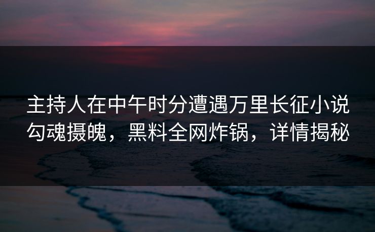 主持人在中午时分遭遇万里长征小说勾魂摄魄，黑料全网炸锅，详情揭秘